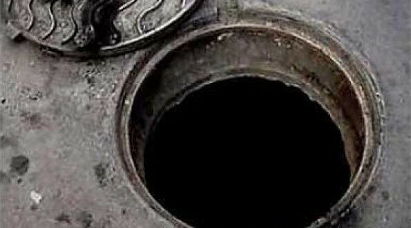 В Новосибирске пони провалилась в канализационный люк  